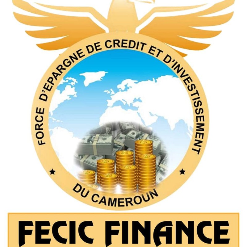 FORCE D'ÉPARGNE DE CRÉDIT ET D'INVESTISSEMENT DU CAMEROUN (FECIC FINANCE) Company Logo
