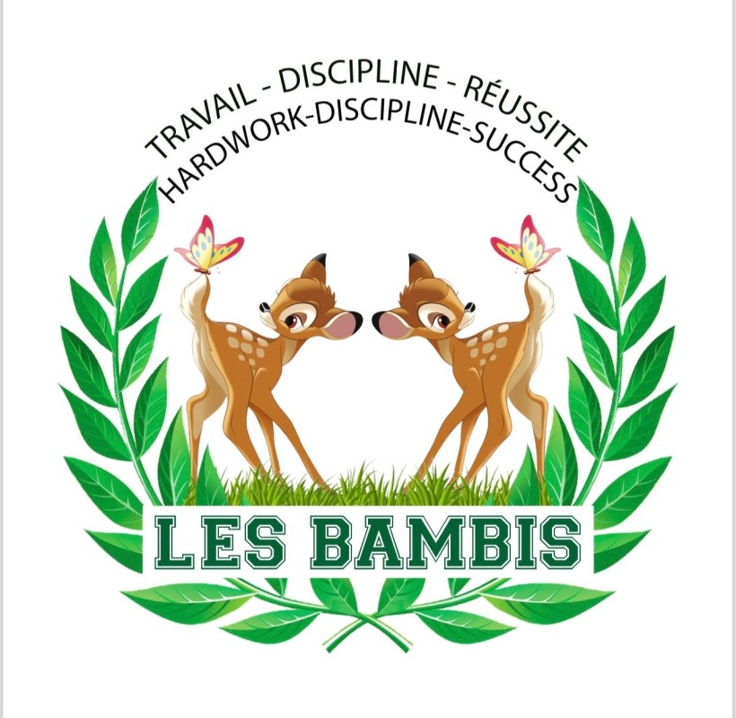 Complexe scolaire prive laic bilingue LES BAMBIS Logo
