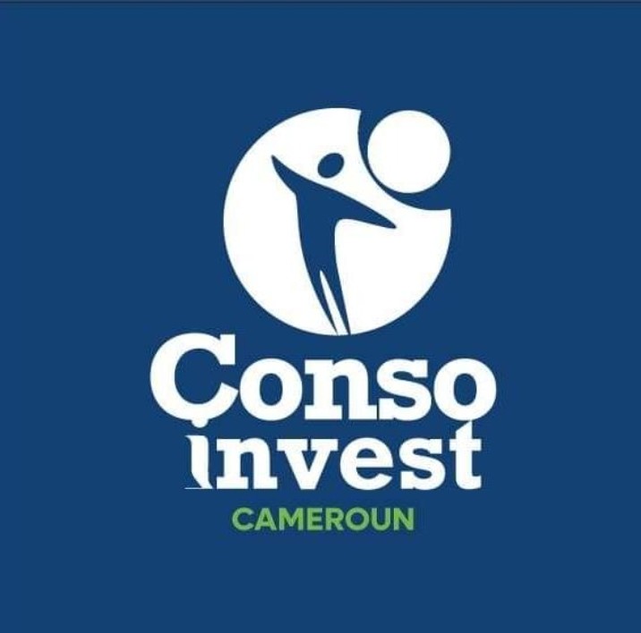 ConsoInvest SARL Company Logo