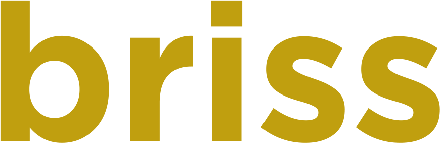 BRISS Logo