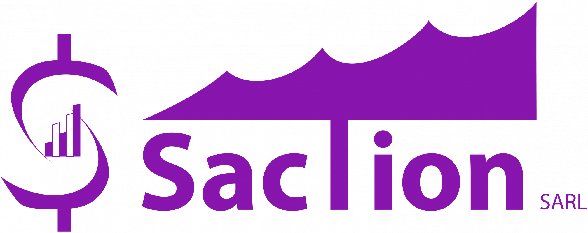 SACTION SARL Company Logo