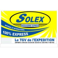 SOLEX SARL Logo