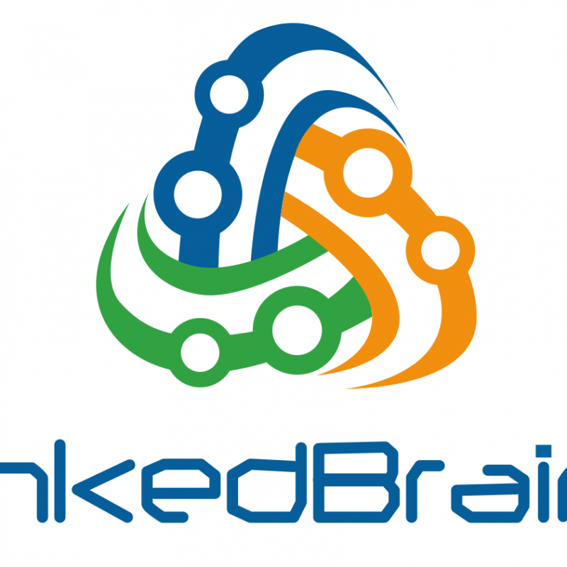 LinkedBrains Sarl Company Logo
