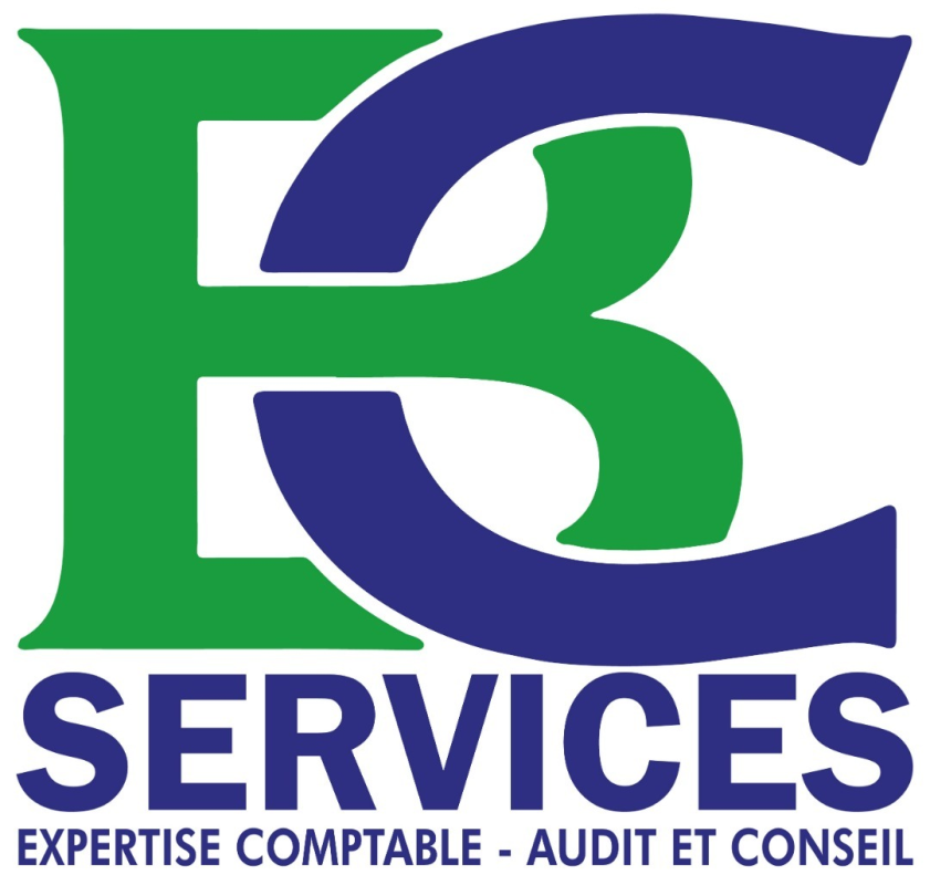BUSINESS CONSULTING SERVICES Logo
