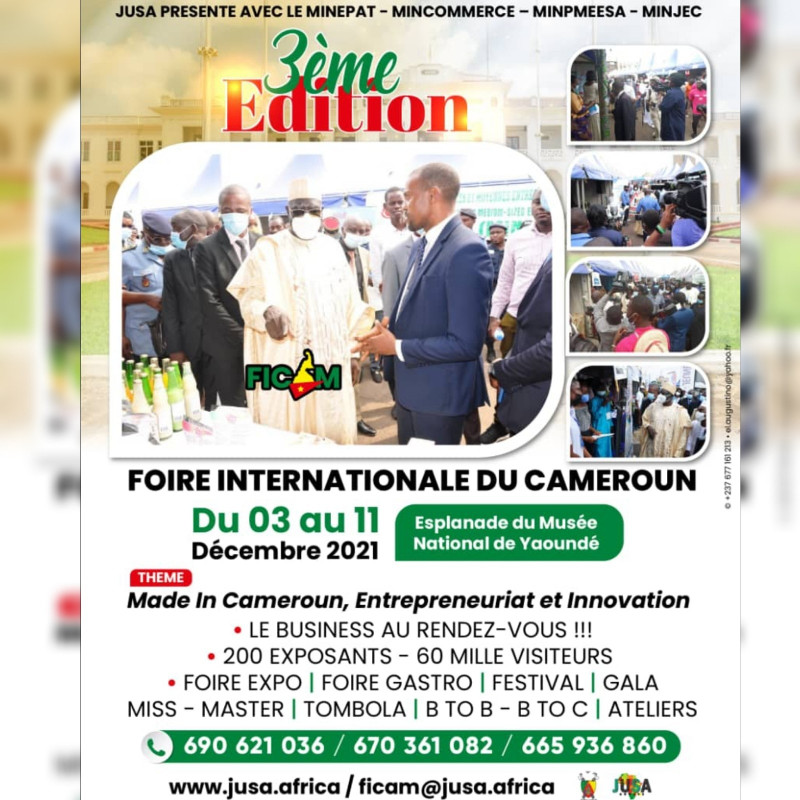 Foire Internationale du Cameroun Logo