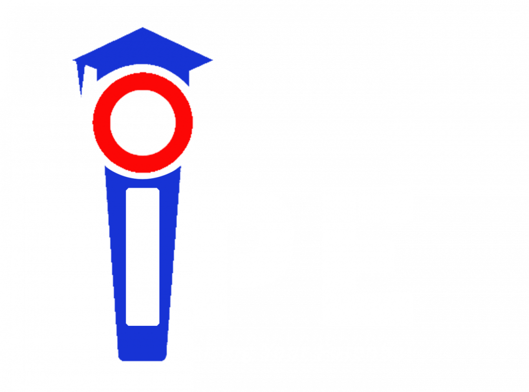 INSTITUTE OF PROFESSIONAL EXCELLENCE Company Logo