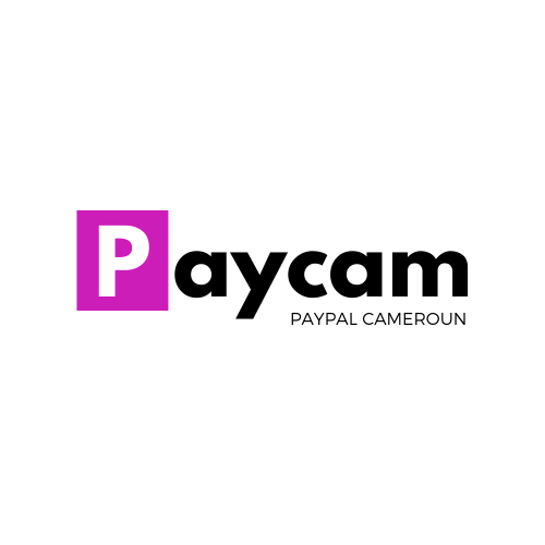 PayCam Company Logo