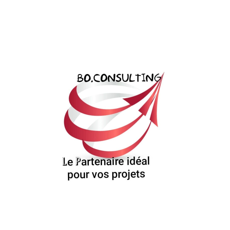 BO.CONSULTING Company Logo