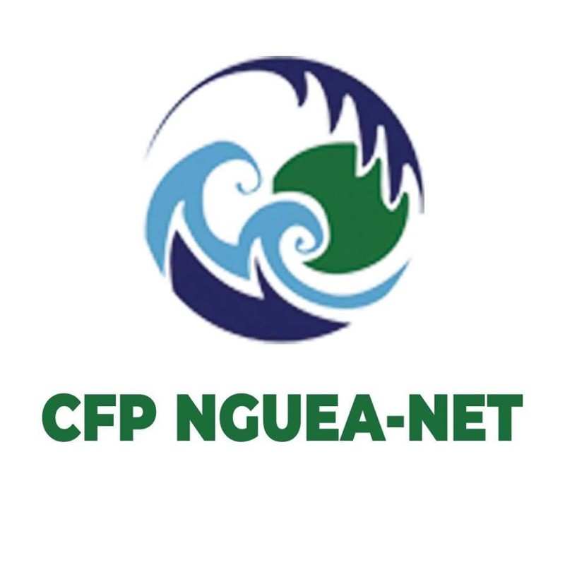 NGUEA-NET BUSINESS 2LN Company Logo