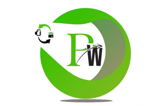 PAYWAFE Company Logo