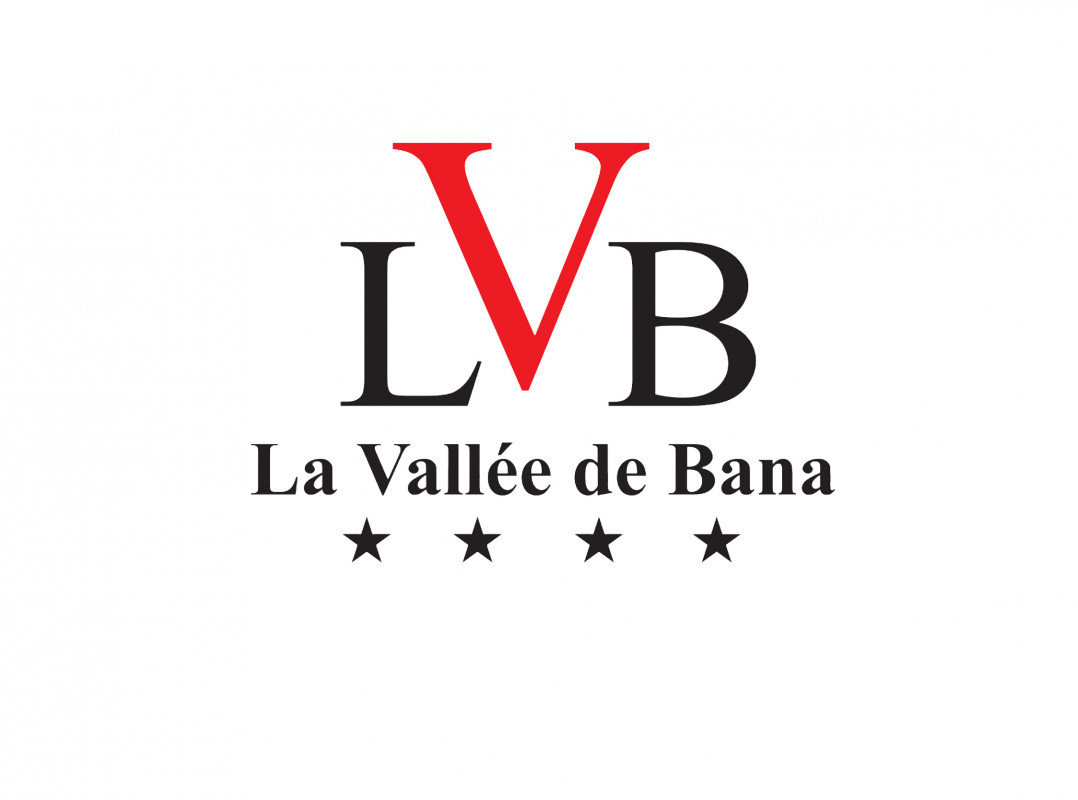 LVB Company Logo