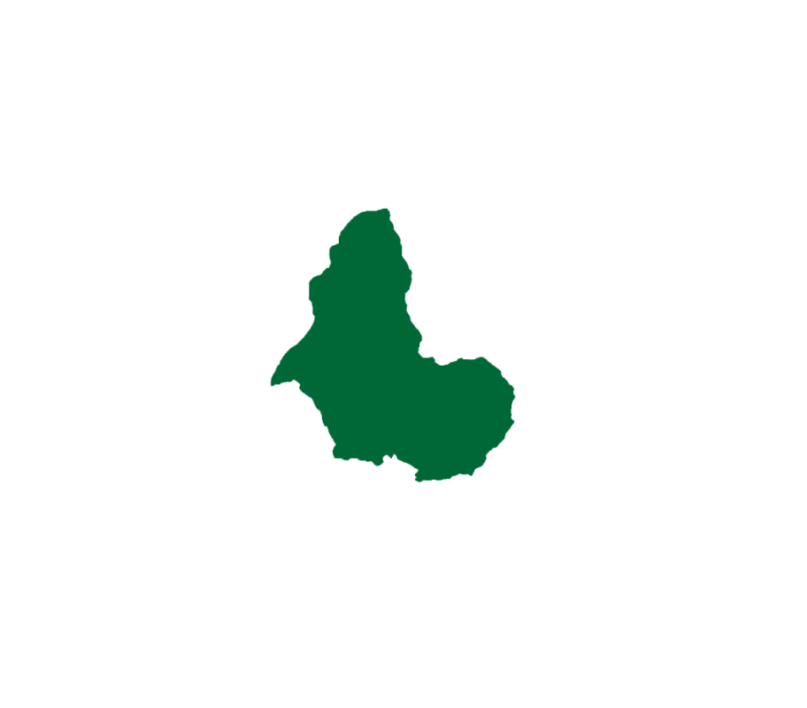 KANEEM GROUP SARL Logo