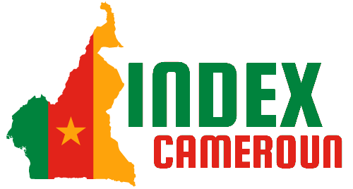 INDEX CAMEROUN Logo