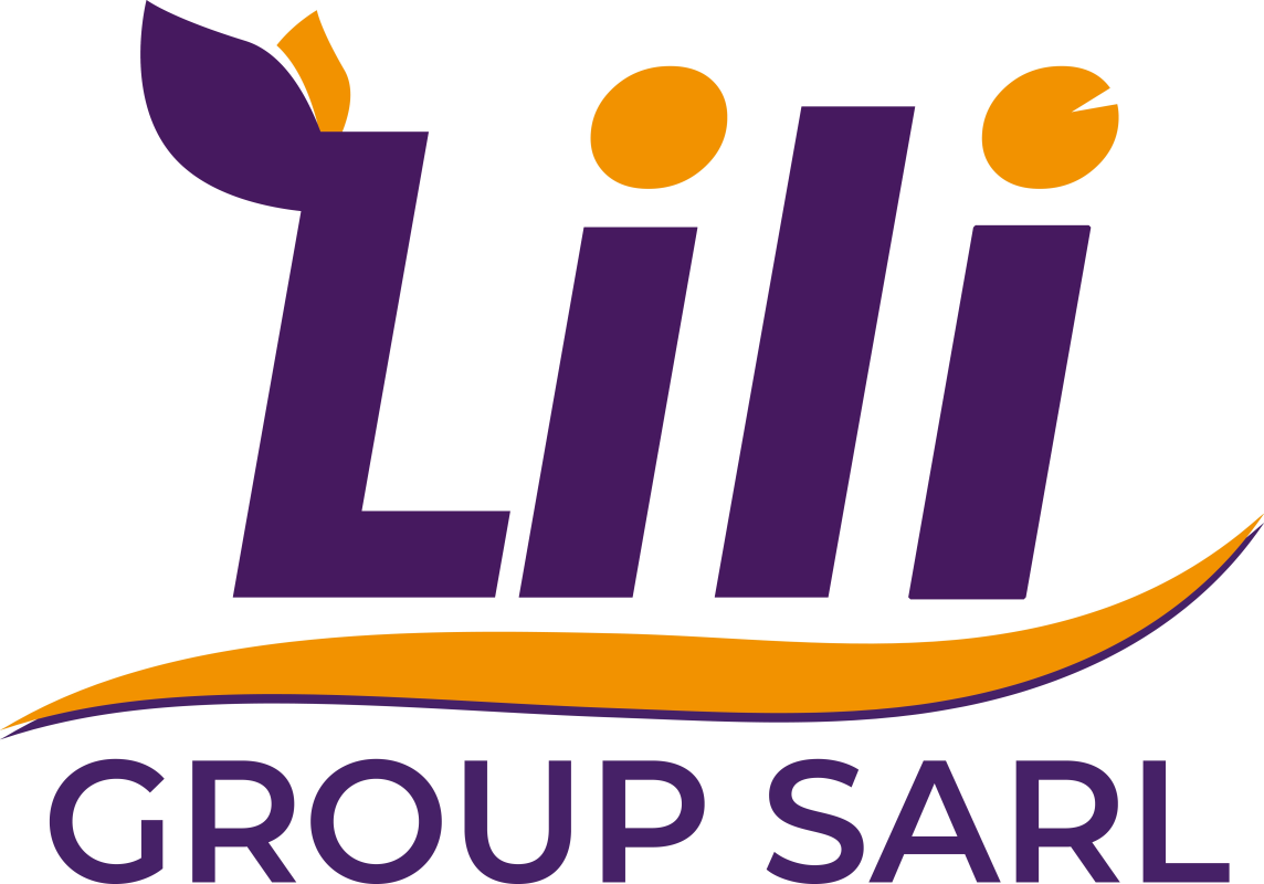LILI GROUP SARL Company Logo