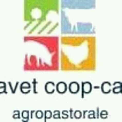 SOCAVET Company Logo