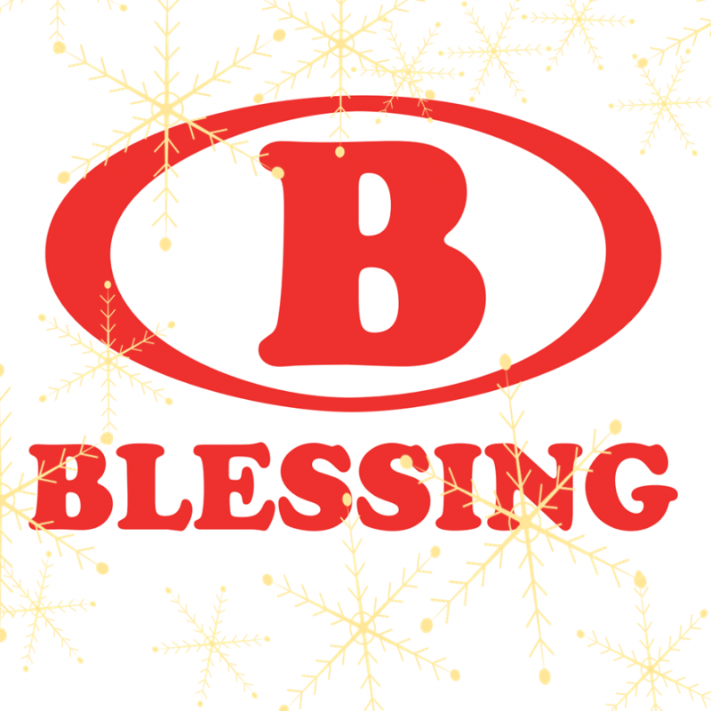 BLESSING PETROLEUM SA Company Logo