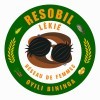 RESOBIL – RÉSEAU DE FEMMES DU CAMEROUN Logo