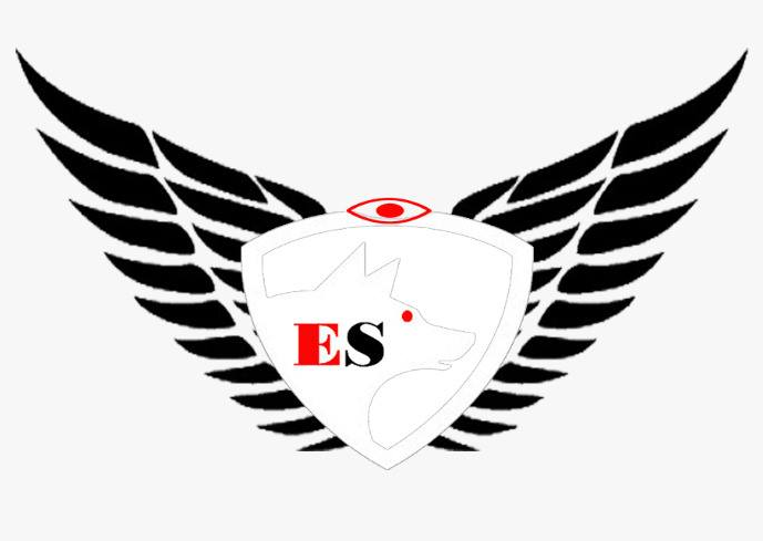 ECHO SECURITY EVENTS S.A.R.L. Logo