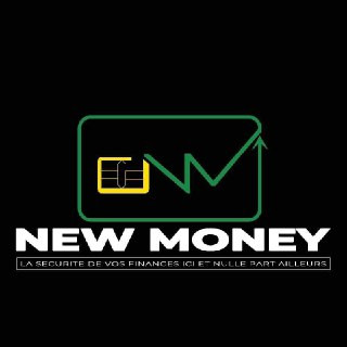 Microfinance NEW MONEY Logo