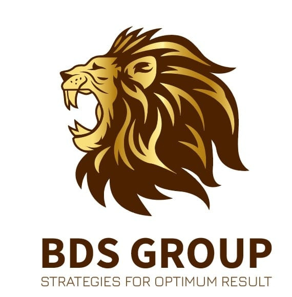 BDS Group Logo