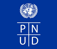 PNUD CAMEROUN Logo