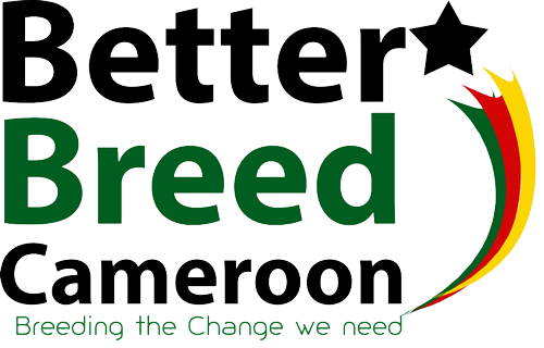 Better Breed Cameroun Logo