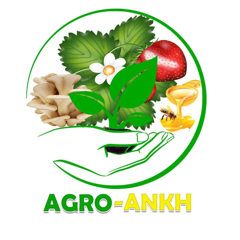 AGRO ANKH Company Logo