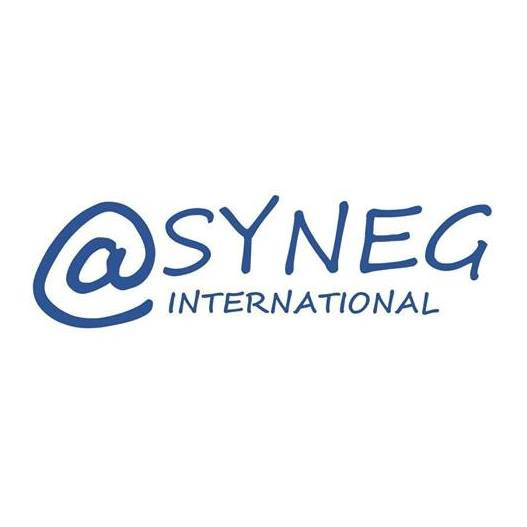 SYNEG INTERNATIONAL Company Logo
