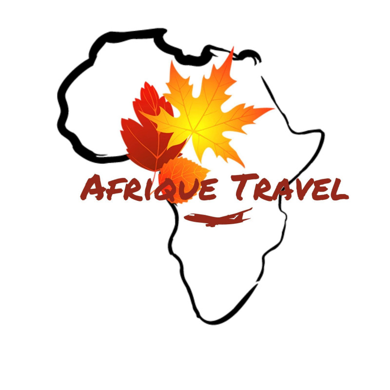 AFRIQUE TRAVEL Logo