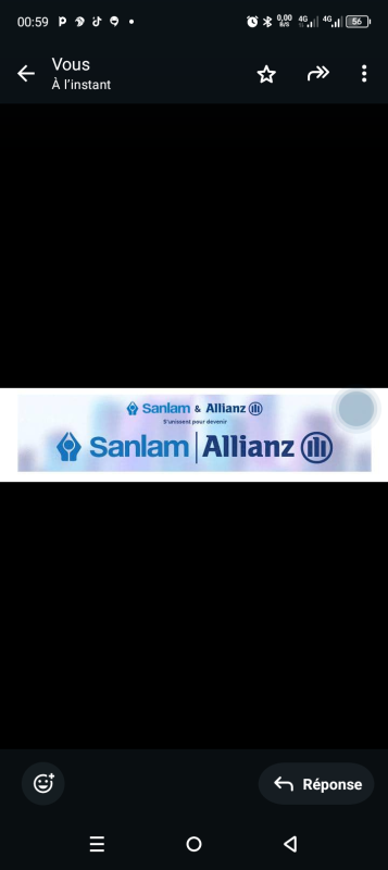 Salamallianz Cameroun assurance vie Logo