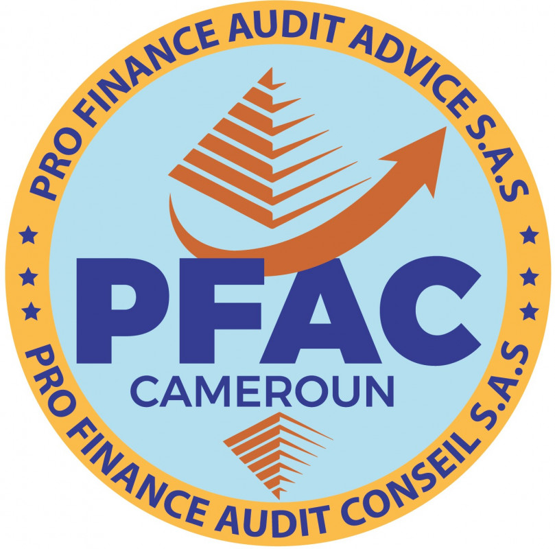 cabinet profinance audit conseil Logo