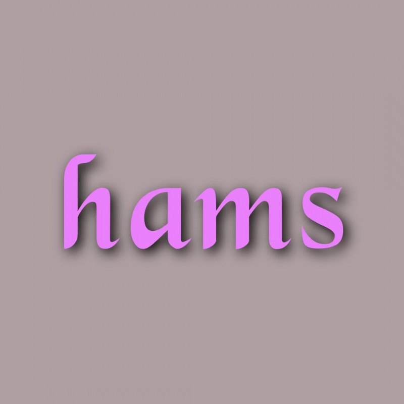 PUBLICITÉ HAMS Company Logo