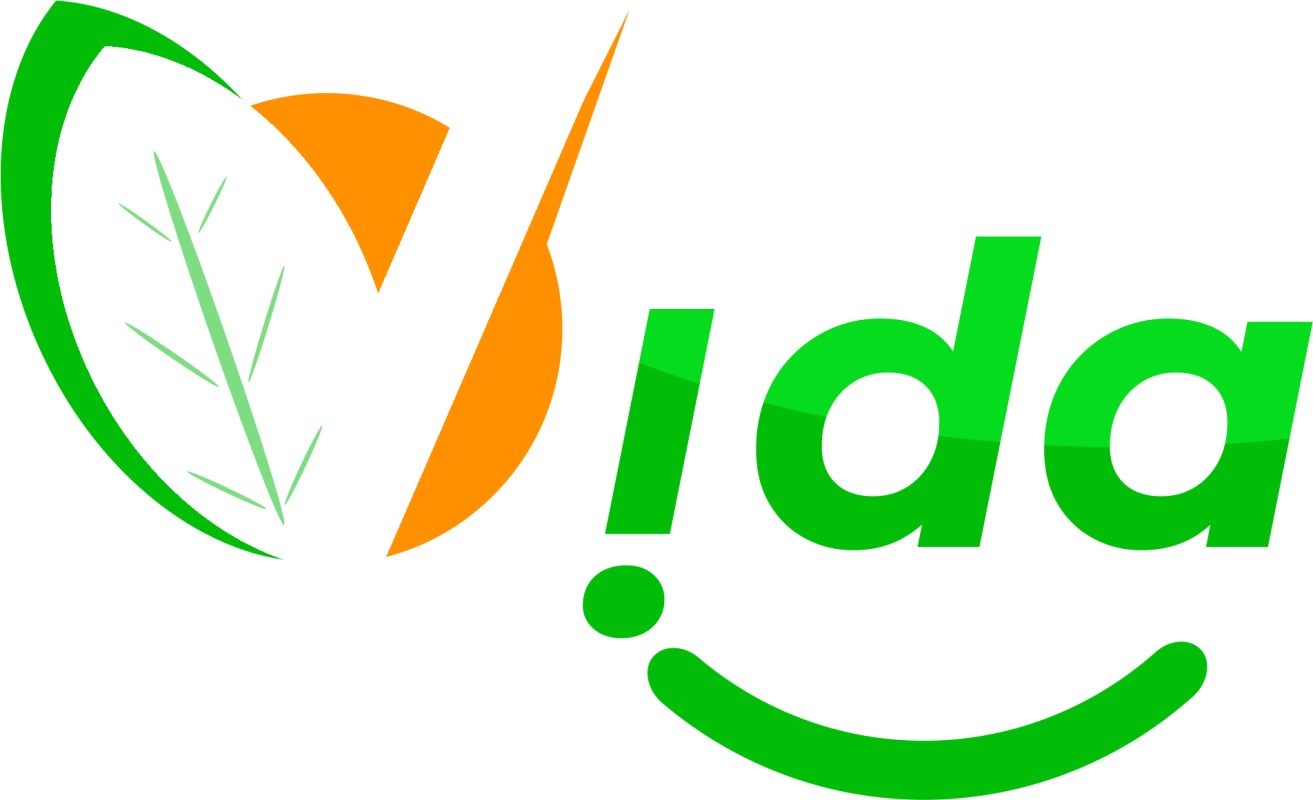DGS VIDA CORPORATION SARL Logo
