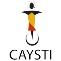 CAmeroon Youth School Tech Incubator (CAYSTI) Company Logo