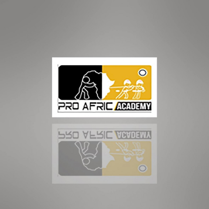 PRO AFRIC ACADEMY Logo
