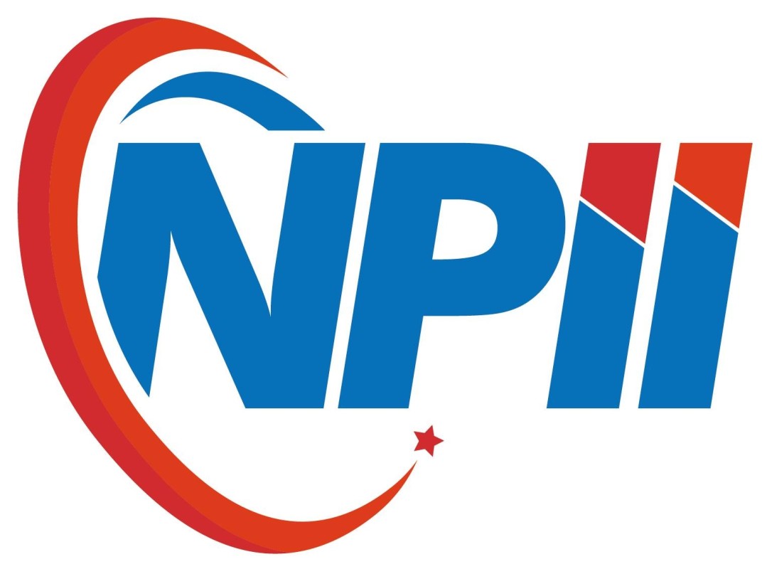 NPII SARL Logo