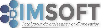 Dimsoft Company Logo