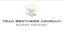 TEAM BROTHERS COMPANY Logo