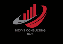 NEXYS CONSULTING SARL Logo